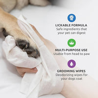Protex PawZ SaniPaw Odor Eliminating Dog Paw Wipes (60 Wipes) Cleansing Dog Grooming Wipes, Simple & Safe Lickable Ingredients - Paw Cleaner for Dogs, Pet Wipes