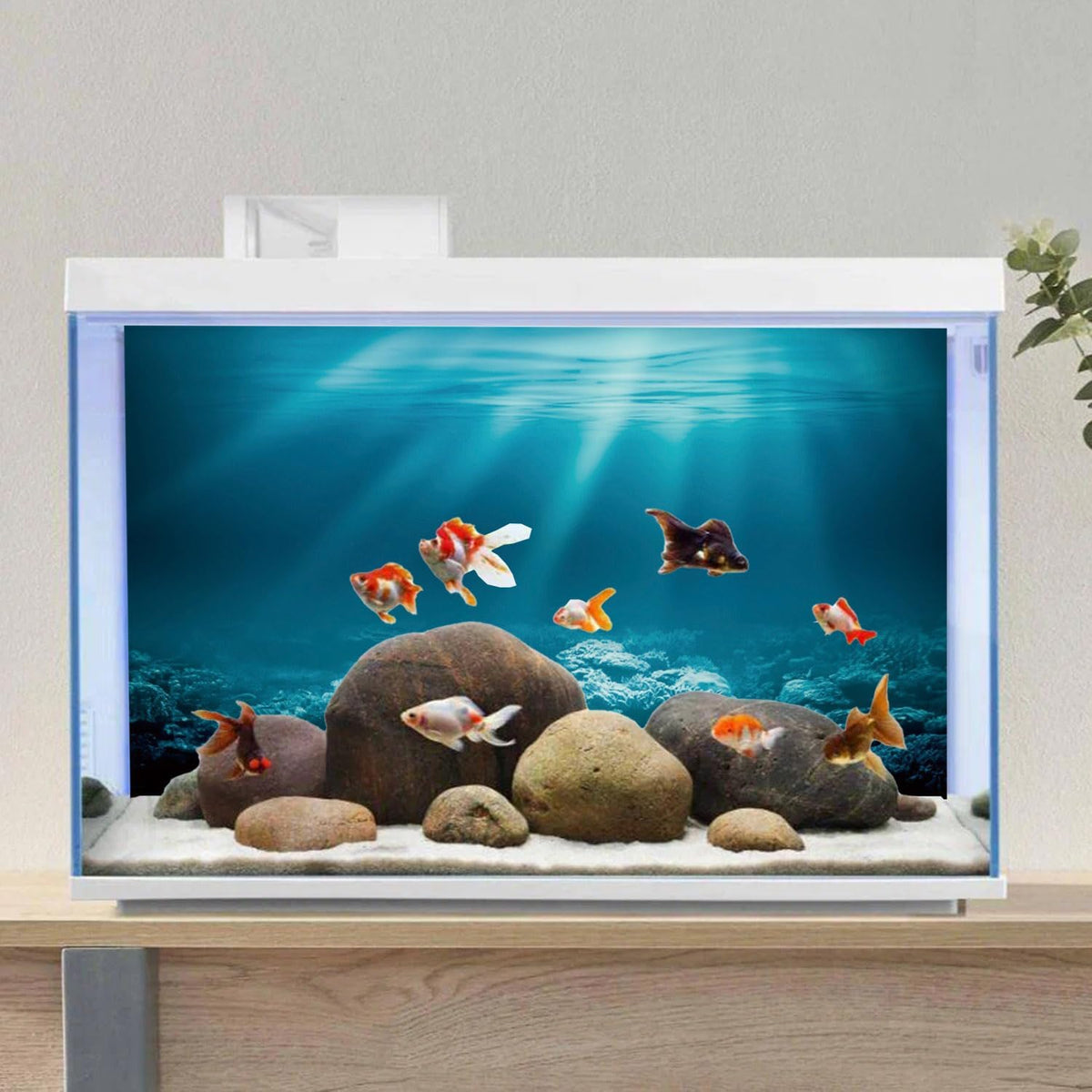 24x16 in Undersea Aquarium Backdrop Underwater World Fish Tank - 24x12in/60x30cm - image 4