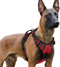rabbitgoo Dog Harness for Large - Red / X-large