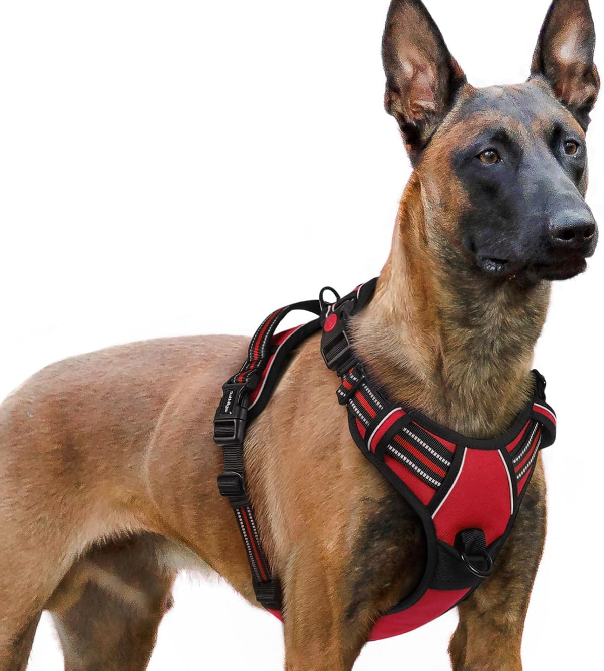rabbitgoo Dog Harness for Large - Red / X-large
