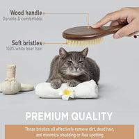 Takavu Natural White Boar Bristle Cat Brush - Gentle Grooming Tool for Sensitive Skin, Smoothing Fur & Healthy Shine - Soft Pet Brush
