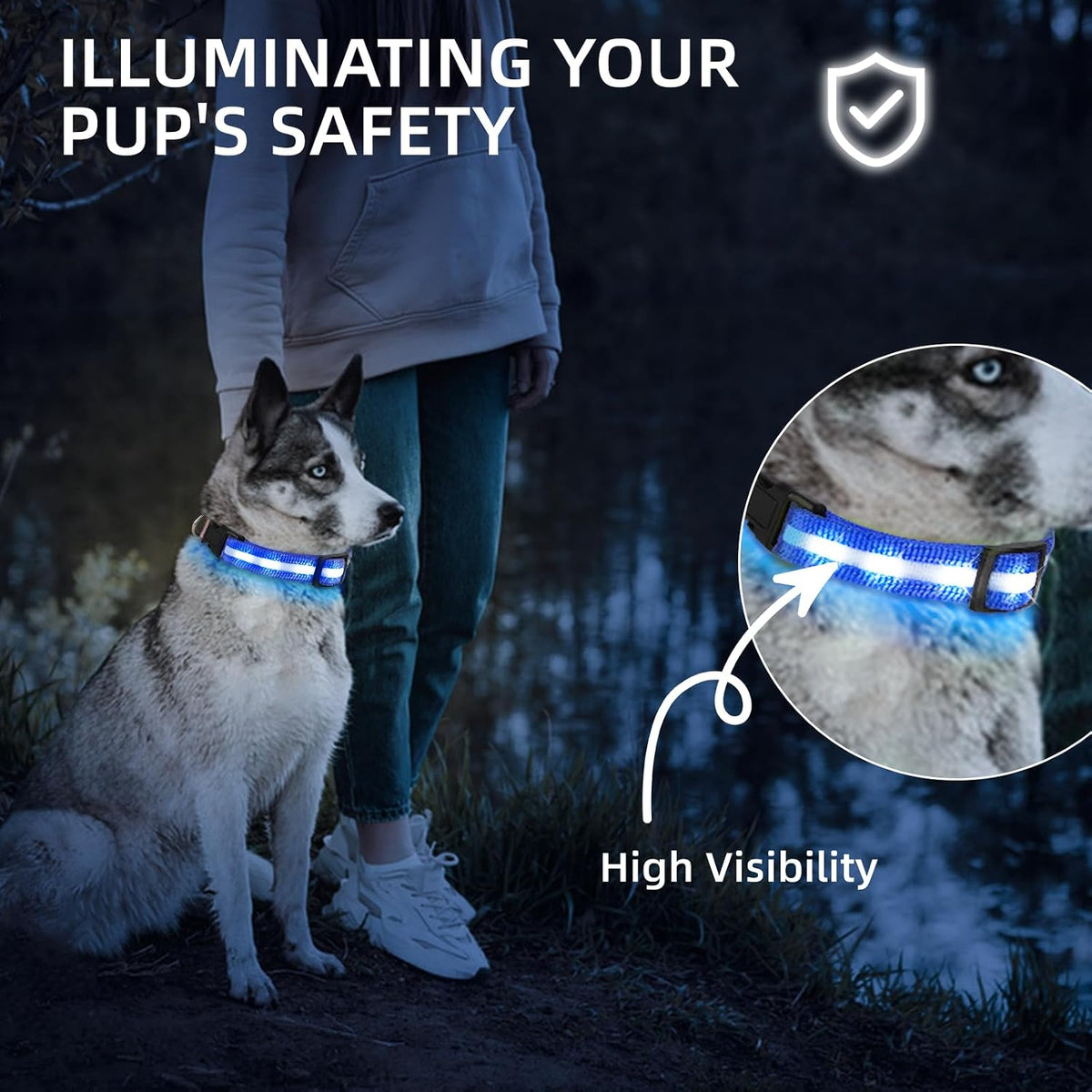 Super Bright LED Dog Collar, Waterproof Light up Collars – Essentials for Dogs - S (Width:0.6",Length:10" - 14.5") / Blue - image 4
