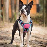 rabbitgoo Dog Harness Small Sized, No Pull Dog Vest with 3 Buckles, Adjustable Soft Padded Pet Harness with Easy Control Handle and Reflective Strips, Rose Pink & Blue, S
