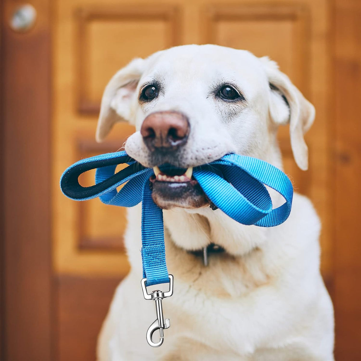 6 Pack Dog Leashes for Large Dogs, Reflective Nylon - image 4