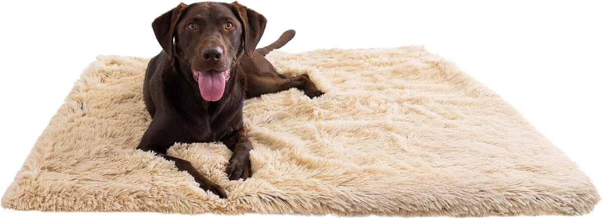 Best Friends by Sheri Dog Blanket, Shag Faux Fur - Taupe / 40" x 50"