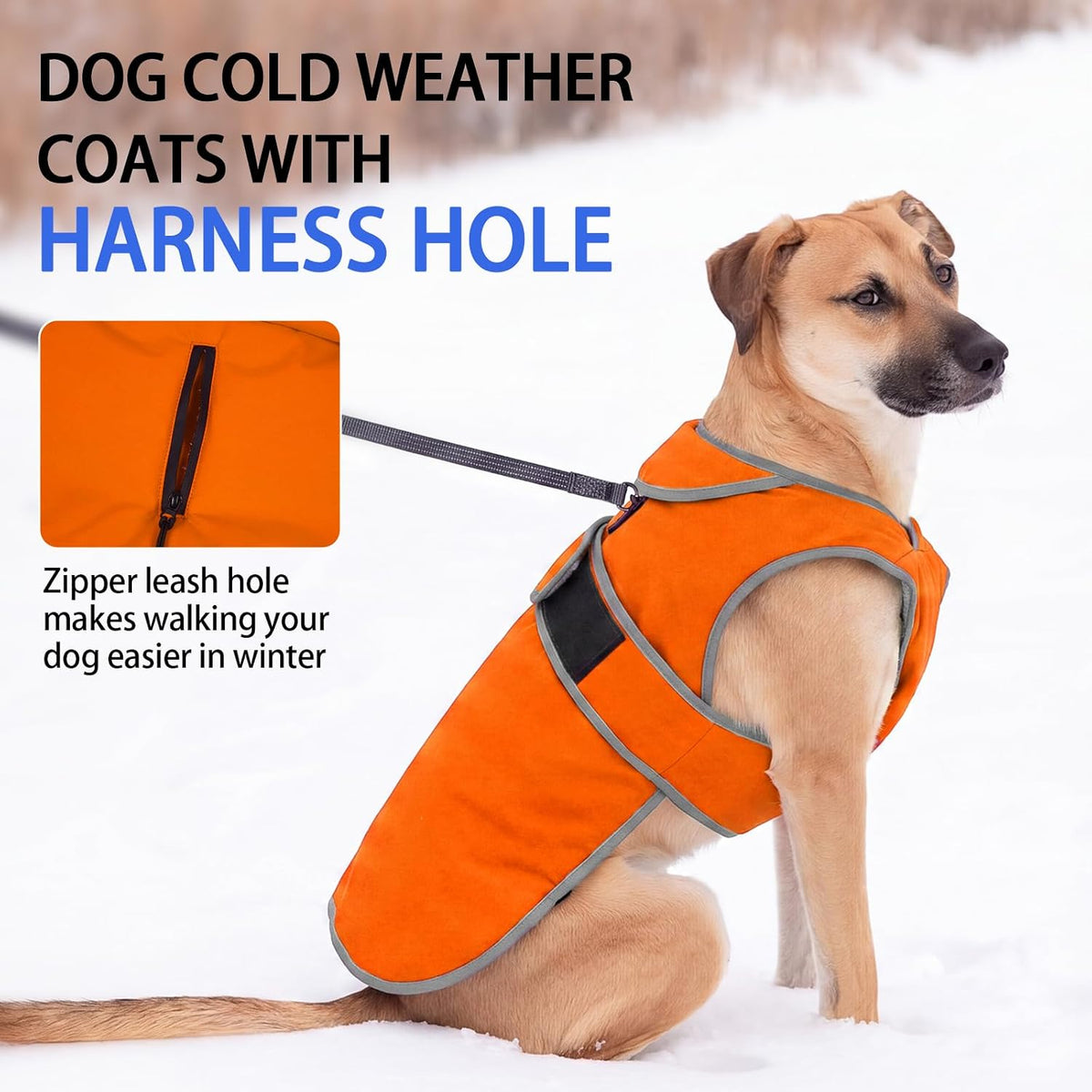 MIGOHI Warm Dog Coat Waterproof Winter Dog Jacket, M - Orange / Small - image 2