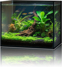 2.6 Gallon Glass Fish Tank Cube, Small Aquarium Fish Bowl for Betta Goldfish Snails Shrimp Aquatic Planting, Easy to Maintain Ultra Clear Rimless Design for Desktop Small Spaces