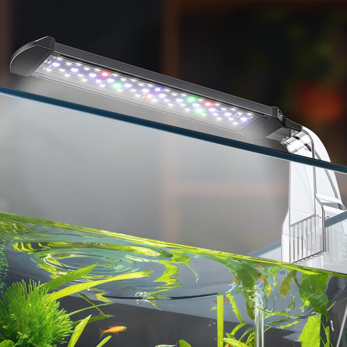 Pawfly 6 W LED Aquarium Light for 1 to 5 Gallon Fish Tanks Clip On - For 5 to 10 Gallon Fish Tank