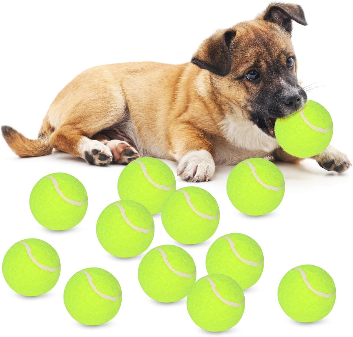 Automatic Dog Ball Launcher, 6 ETPU Balls - white