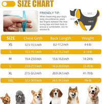 Recovery Suit for Dogs After Surgery, Professional Dog Surgical Suit for Female Spay, Male Neuter, E-Collar & Cone Alternative Dog Onesie for Abdominal Wounds Skin Disease, Yellow, L