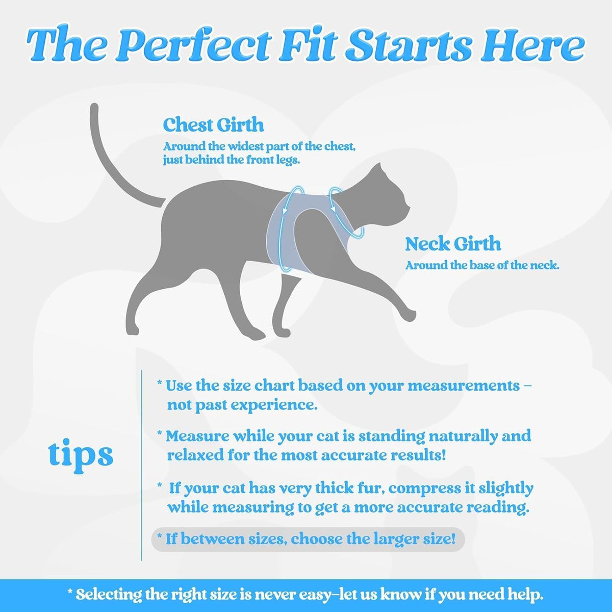 rabbitgoo Cat Harness and Leash Set, Step-in Soft Vest - L / Light Blue - image 2