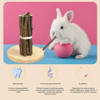 Natural Apple Wood Chew Sticks for Rabbits, Hamsters, Chinchillas, Guinea Pigs - Small Animal Dental Toys for Teeth Grinding & Boredom Relief, Safe Untreated Chew Treats, 350g (12.3oz)