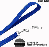Nylon Training Dog Leash for Small Medium Large Dogs, Camping - Reflective Blue / 100ft - image 4