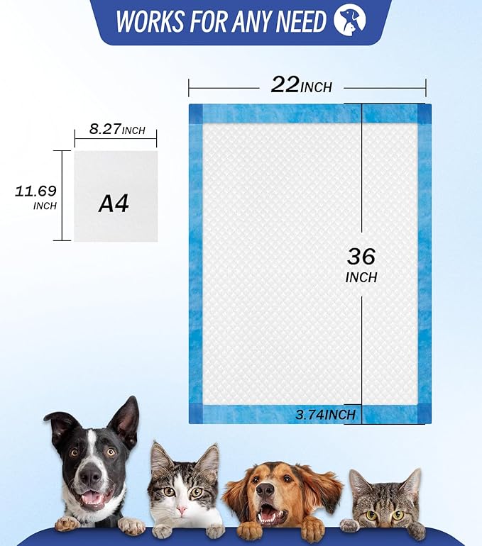 Large Puppy Pee Pads 22x36 Inch 100-Pack | Extra Absorbent Potty Training Pads for Dogs | Leakproof Quick-Dry & Odor Blocking Pet Housebreaking Supplies