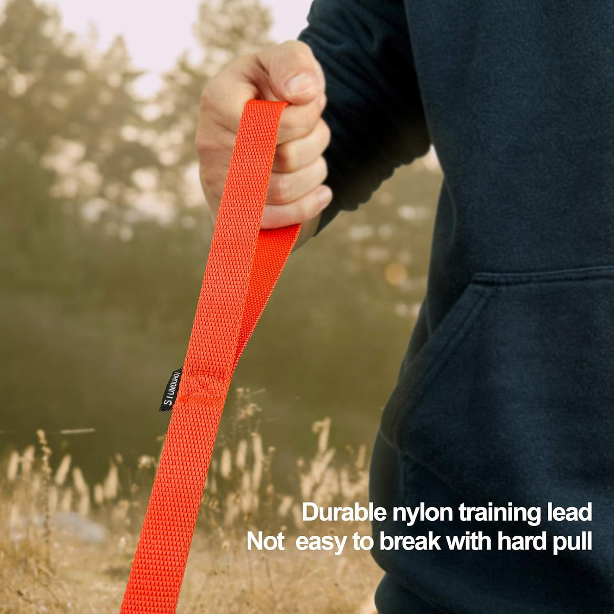Dog/Puppy Obedience Recall Training Agility Lead, Great for Play - Orange / 30 Feet - image 2