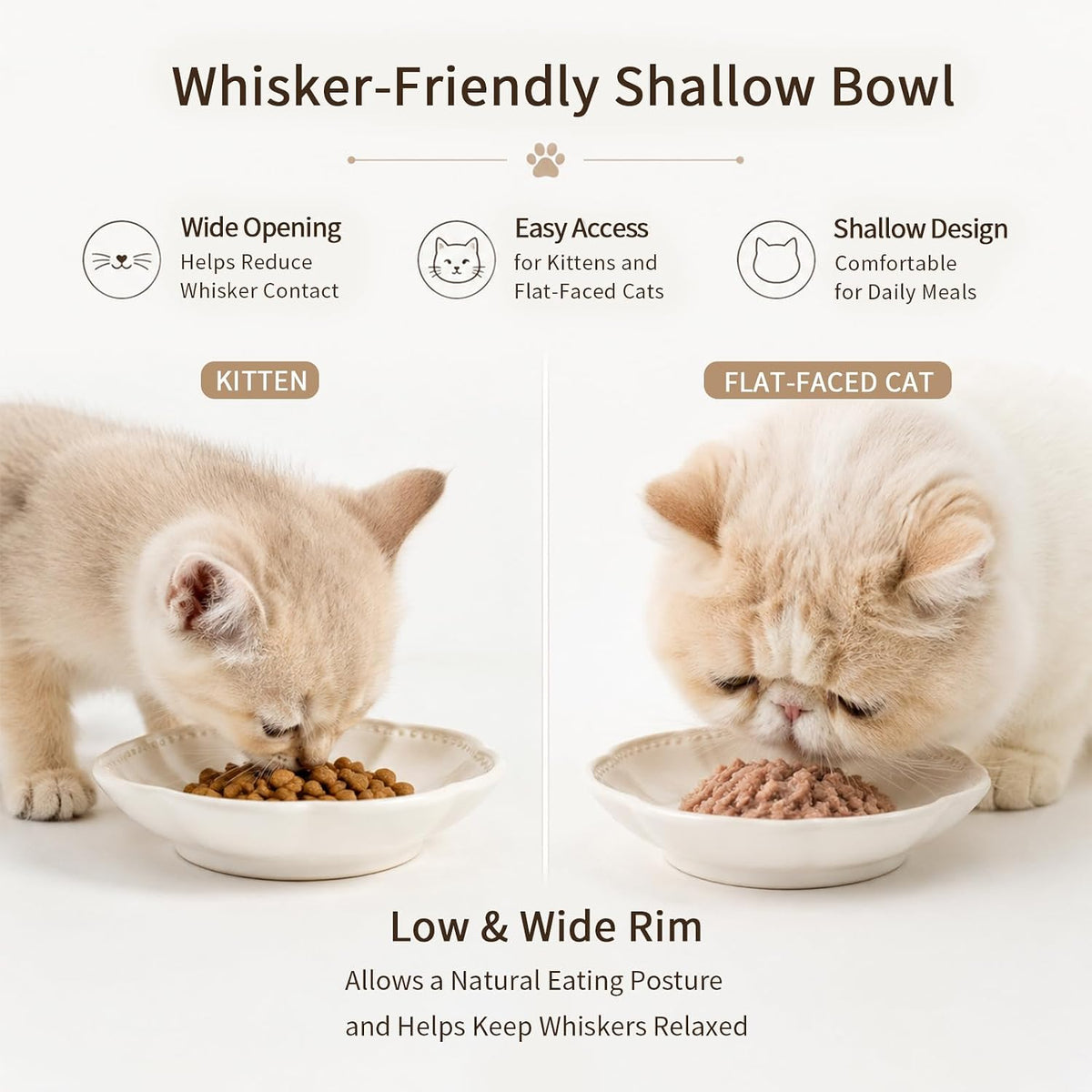 Mecaikru Ceramic Cat Food Bowls - ivory white / 5.5in / cloud pearl - image 2