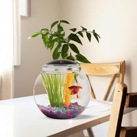 Koller Products 1-Gallon Globe Fish Bowl, Impact- Resistant Plastic Aquarium Starter Kit with LED Lighting, Built-in Timer, Crystal-Clear Clarity, Desktop Fish Tank for Home Décor