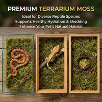 Sukh Sphagnum Moss for Reptiles, Green Terrarium Moss Substrate - 11.2 Ounces / Green - image 2