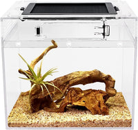 Reptile Growth Mini Reptile Terrarium - Transparent / 8" x 8"x 8"