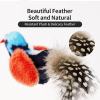 Interactive Cat Toys for Indoor Cats, Catnip and Feather - 2 Pack birds - image 4