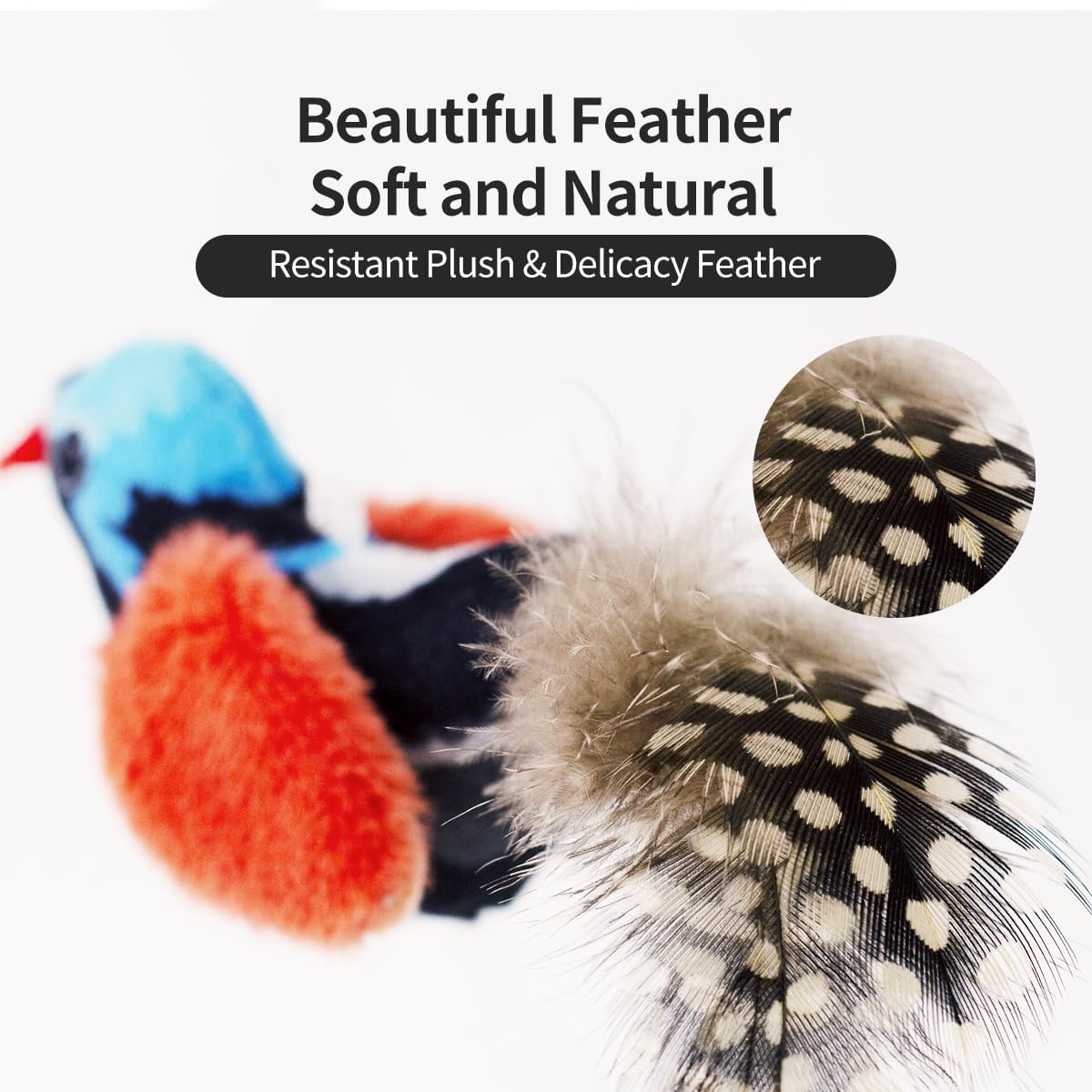 Interactive Cat Toys for Indoor Cats, Catnip and Feather - 2 Pack birds - image 4