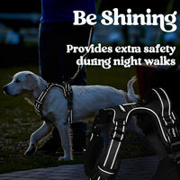 rabbitgoo Dog Harness Small Sized, No Pull Pet Harness with 3 Buckles, Adjustable Soft Padded Vest with Control Handle, Walking Reflective Pet Vest for Small Dogs, Black, S