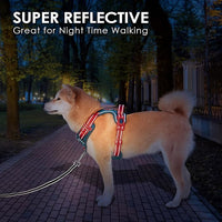 PHOEPET No Pull Dog Harness, Unique Colors Reflective Adjustable Dog Vest, with Soft Training Handle Metal Clips for Small Medium Large Dogs (Teal Base & Red Straps,S)