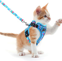 Cat Harness and Leash Set, Escape Proof Kitten Harness, Black - H604 Pro Ocean Blue / X-Small (4-6lb)