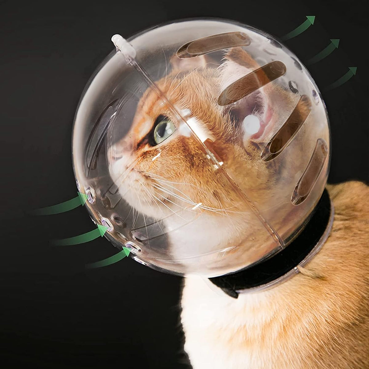 Cat Transparent Muzzle with Breathable Hood - XL