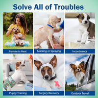 Pet Soft Dog Diapers Female, Disposable Female Dog Diaper - Green Flower / XX-Small(36Pcs) - image 3