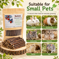 Apple Chew Sticks 100g Mini Molar Toys for Small Pets – Essentials for Small Pets - 3.6 Ounce (Pack of 1) - image 3