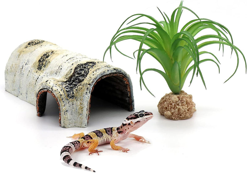 Reptile Hides and Caves Birch Tree Bark Trunk Habitats Decor Aquarium - Small