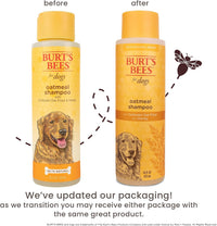 Burts Bees for Pets Oatmeal Dog Shampoo with Honey - Unscented / 16 Fl Oz (Pack of 6) - image 2