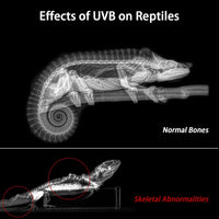16-Inch LED UVB Reptile Light with Auto On/Off & Preset Day-Night - 8 INCH - image 3