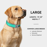 Joytale Reflective Dog Collar for Large Dogs with Wide Padding - Teal / L - image 3