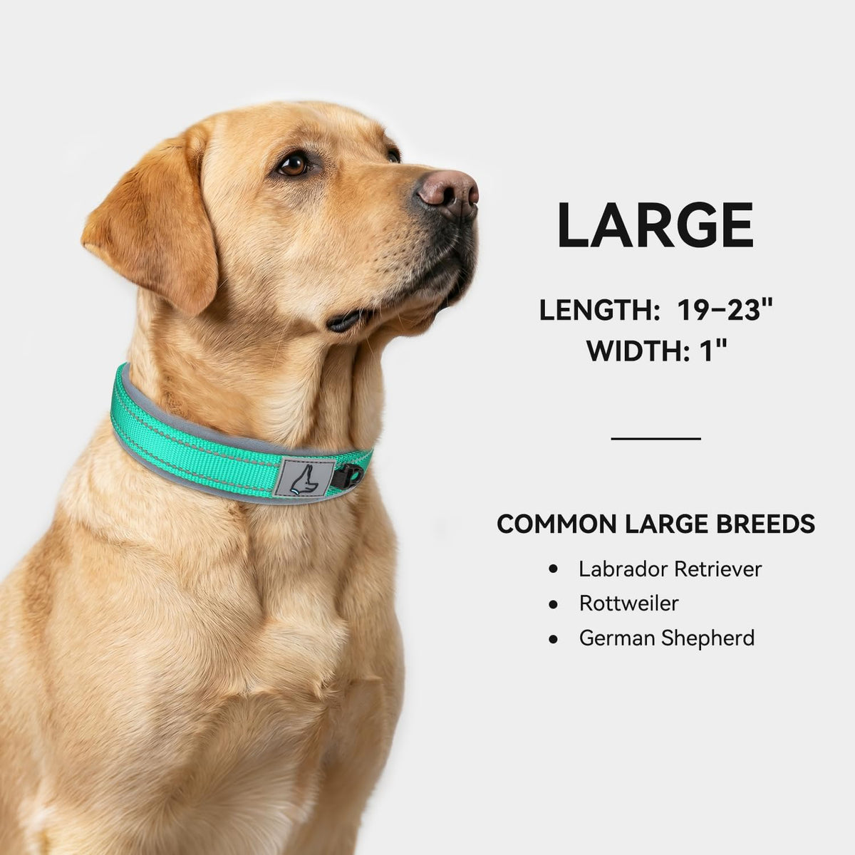 Joytale Reflective Dog Collar for Large Dogs with Wide Padding - Teal / L - image 3