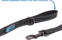 Max and Neo Reflective Nylon Dog Leash - 6 FT x 1" Wide / RED - image 2