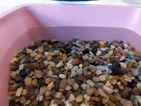 River Rock Stones, Natural Decorative Polished Mixed Pebbles Gravel,Outdoor Decorative Stones for Plant Aquariums, Landscaping, Vase Fillers (9 LB, Mixed Colors)