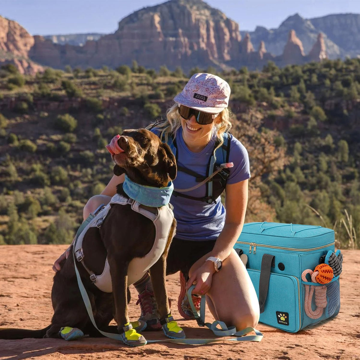 Dog Travel Bag – Essentials for Dogs - Sea Blue - image 2