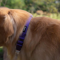 Hyhug Pets Premium Upgraded Heavy Duty Nylon Anti-Escape Martingale Collar for Pup Dogs Comfy and Safe - Professional Training, Daily Use Walking. (Small, Ultra Violet)