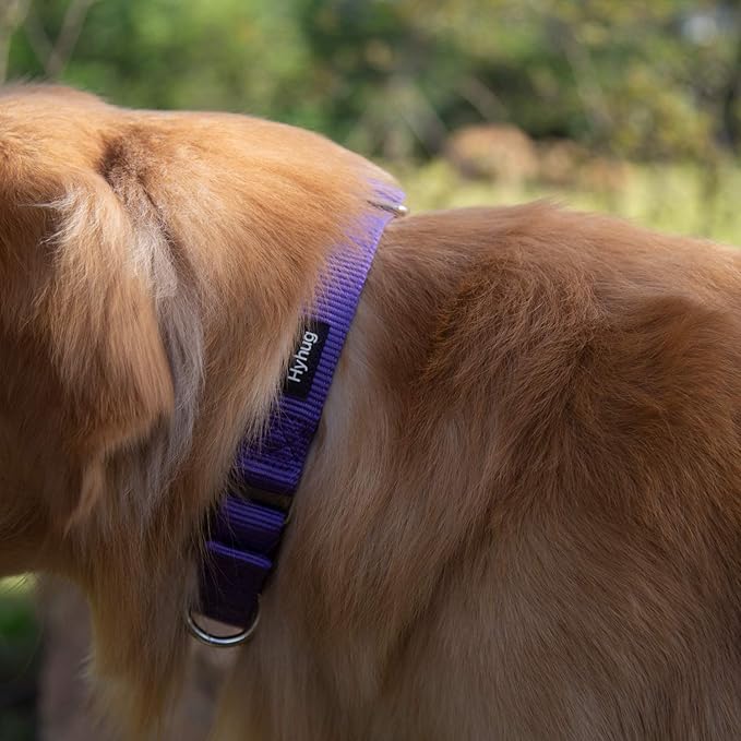 Hyhug Pets Premium Upgraded Heavy Duty Nylon Anti-Escape Martingale Collar for Pup Dogs Comfy and Safe - Professional Training, Daily Use Walking. (Small, Ultra Violet)