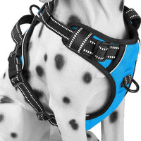 PoyPet No Pull Dog Harness Medium - XS / Blue
