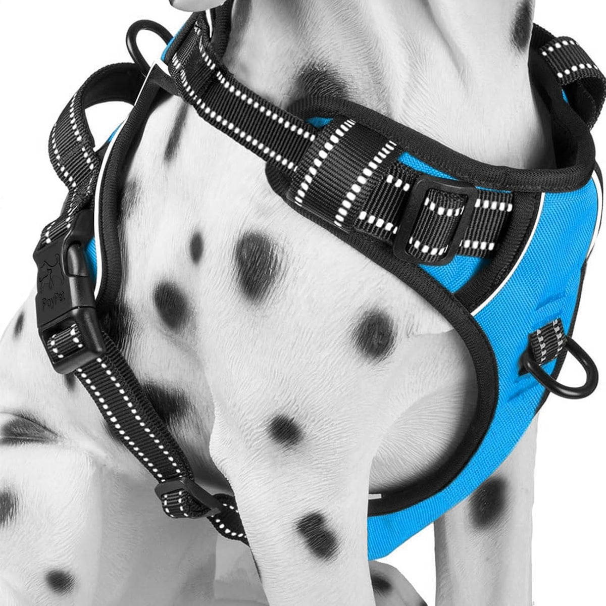 PoyPet No Pull Dog Harness Medium - XS / Blue