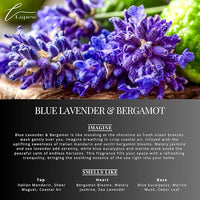 Blue Lavender & Bergamot Carpet Freshener Powder: Powerful Odor Eliminator for Home, Upholstery Deodorizer, Carpet Deodorizer, Pet Urine, Cat Litter Box - Blue Lavender & Bergamot