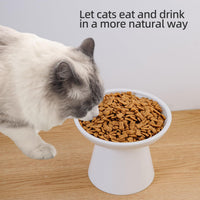 Ceramic Elevated Cat Food Bowls, 6.2" Wide - White / 2 Pack - image 4
