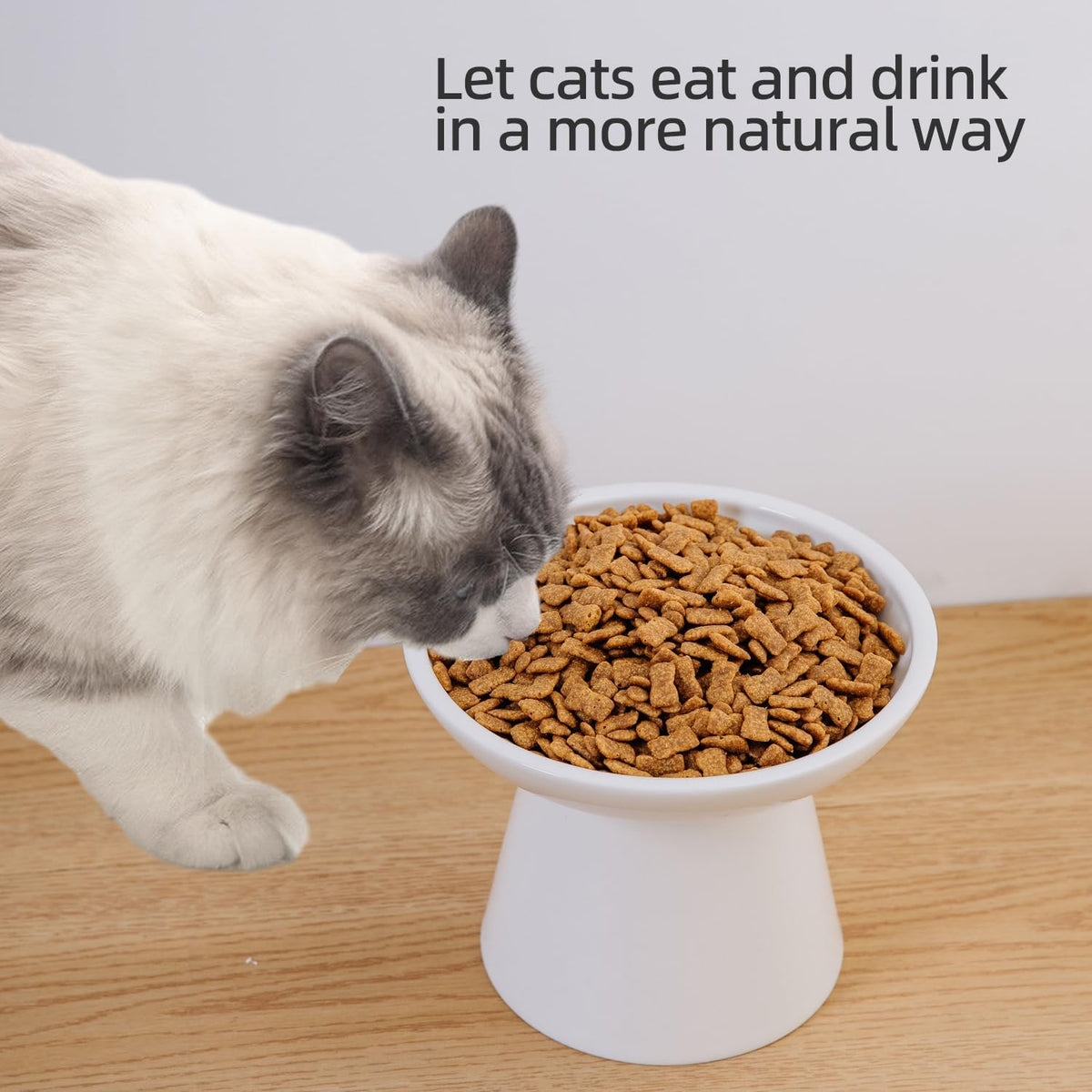 Ceramic Elevated Cat Food Bowls, 6.2" Wide - White / 2 Pack - image 4