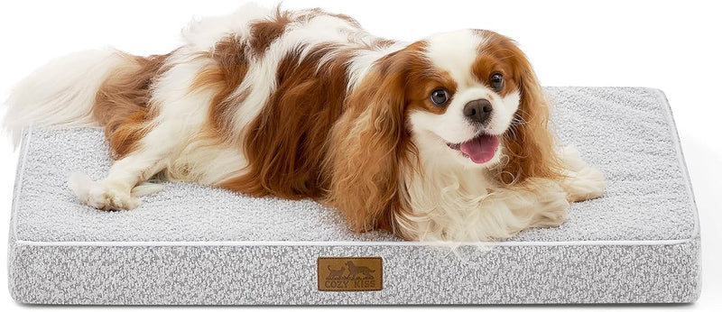 COZY KISS Flat Dog Bed Mat Washable for Large Sized Dogs - Grey / 24x16 inch