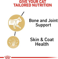 Royal Canin Maine Coon Adult Breed Specific Cat Food Thin Slices in Gravy, 3 oz can (6-Pack)