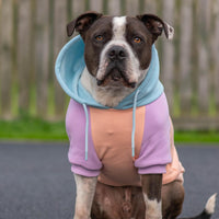 Spark Paws Dog Hoodie, Buttery-Soft Sweater Sweatshirt - Cotton Candy / X-Large - image 2
