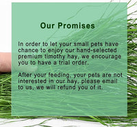 Timothy Hay 1.1LB - Dust Free Natural Green Fresh Food Hay for Rabbits Tortoise Guinea Pig Chinchilla